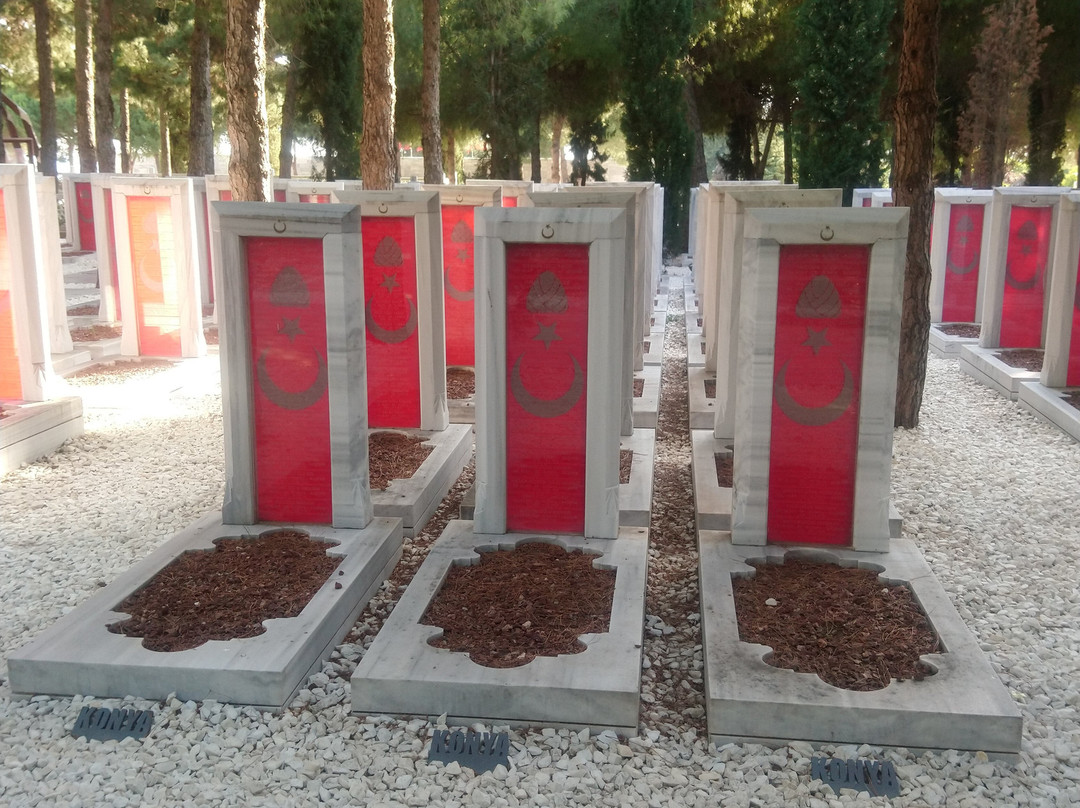 Canakkale Sehitleri Aniti-Eceabat必去景点