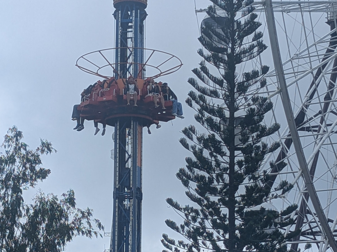 Sky Ranch-大雅台必去景点