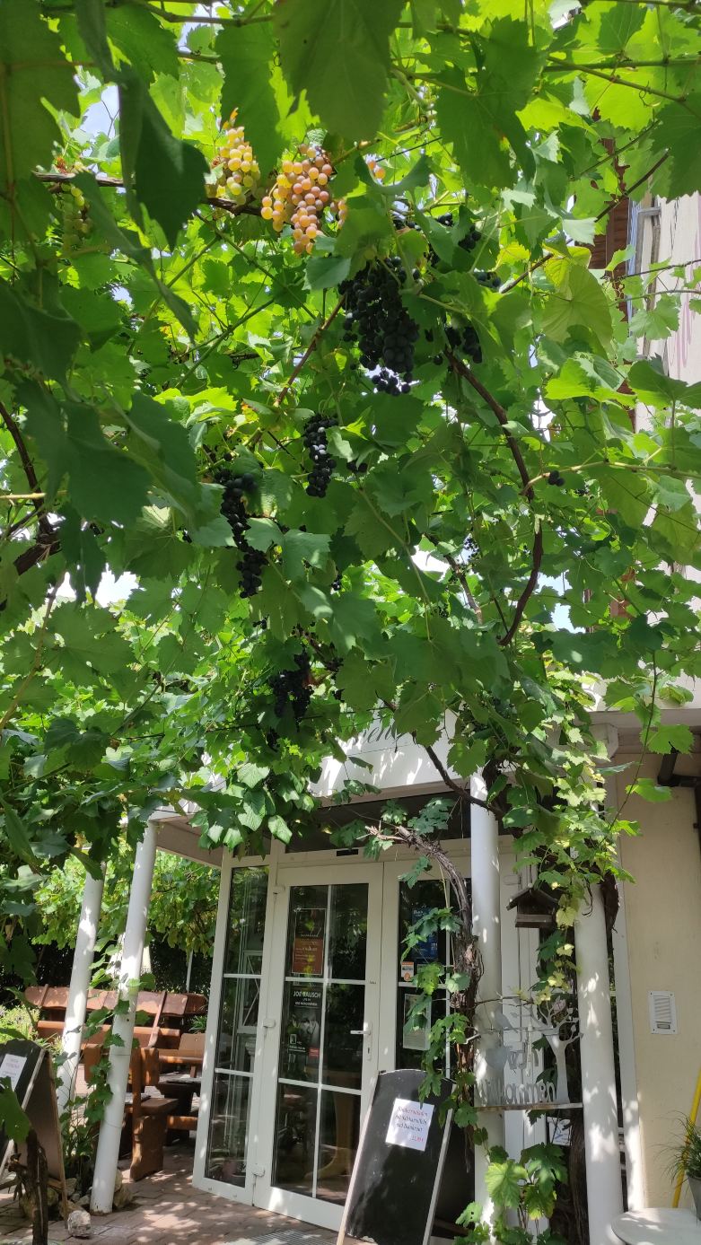 Landgasthof Taubertal-度假村/酒店