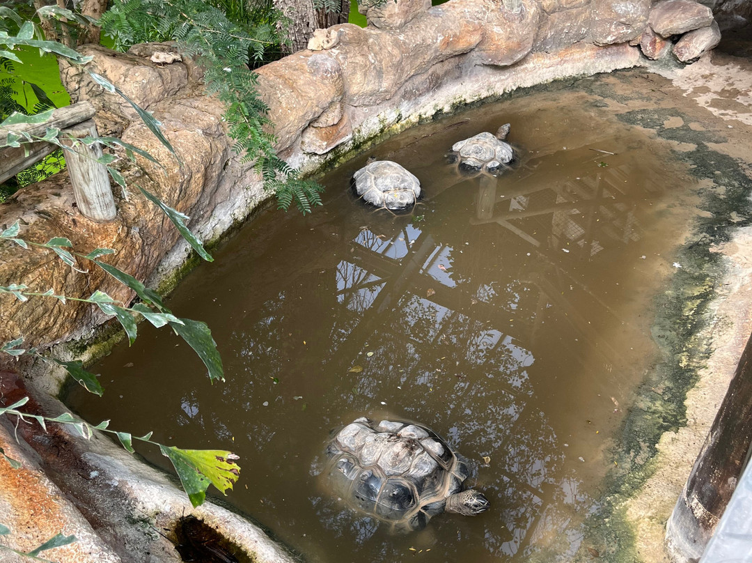 La Ferme Aux Crocodiles-Pierrelatte必去景点