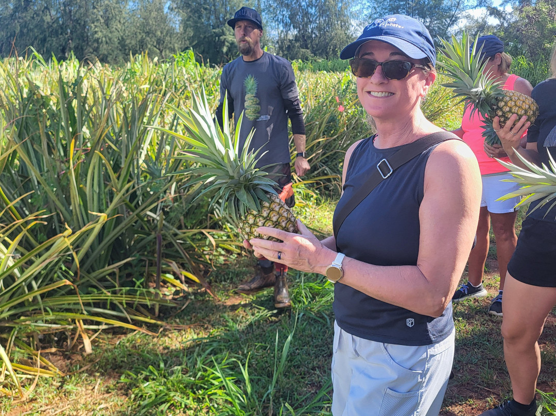 Sugarloaf Pineapple Farm-基拉韦厄必去景点
