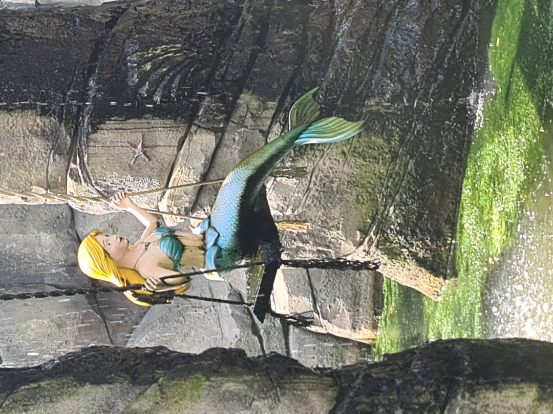 Freizeitpark Plohn-Lengenfeld必去景点