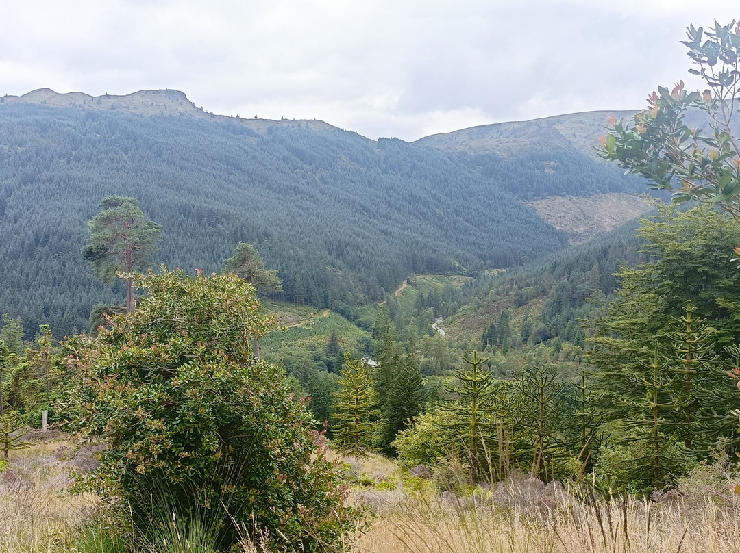 Benmore Botanic Garden-Benmore必去景点