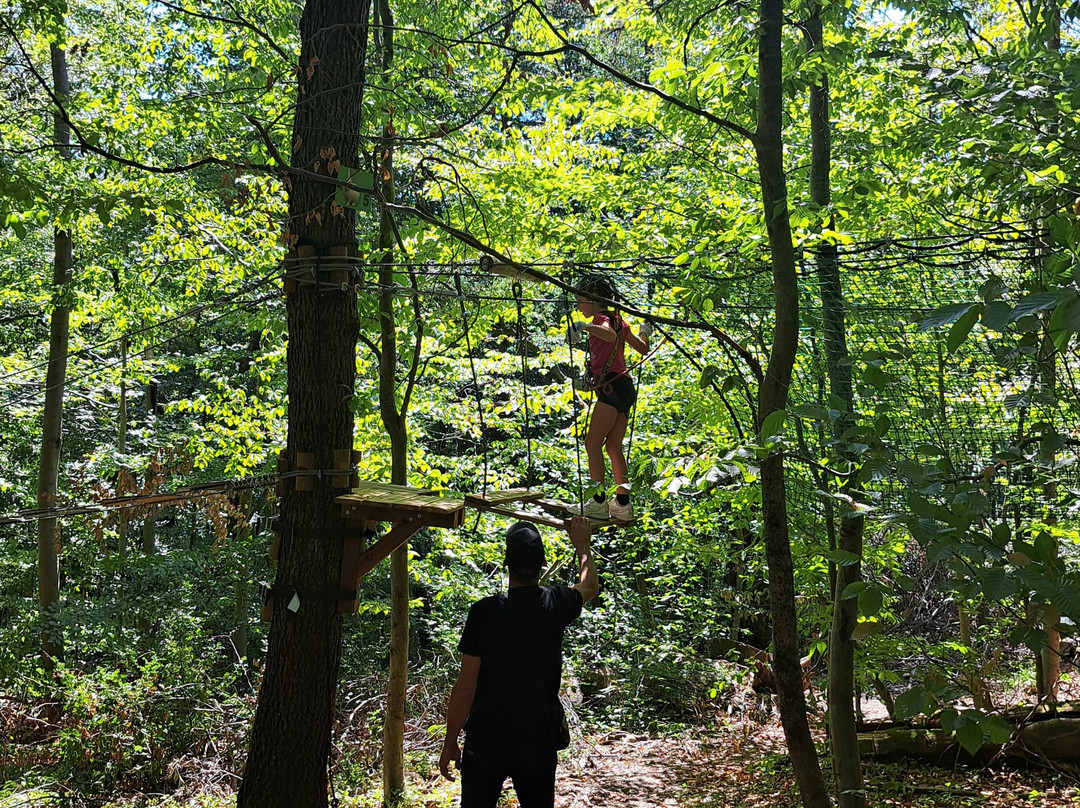 France Aventures Saint-Etienne-Saint-Jean-Bonnefonds必去景点