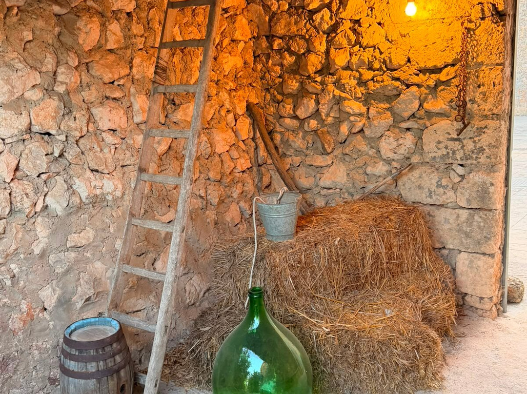 马莎莉亚乌西欧酒店主图
