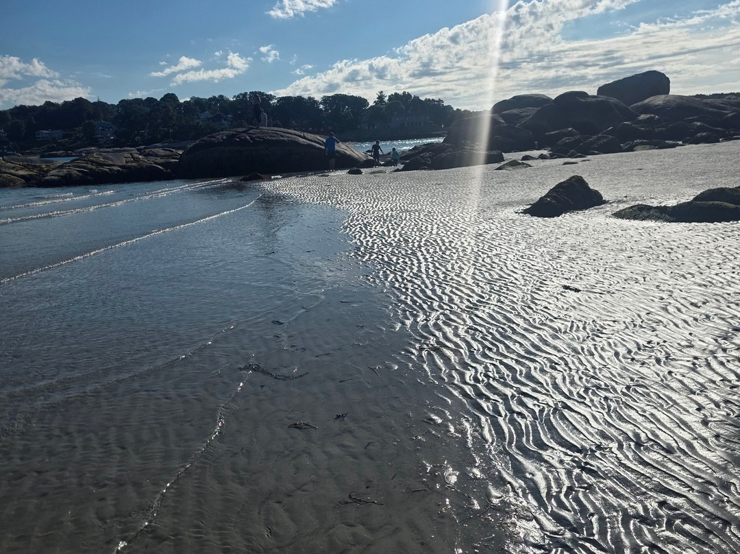 Wingaersheek Beach-格洛斯特必去景点