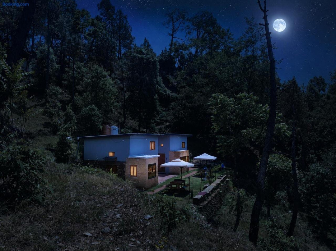 Astitva Binsar