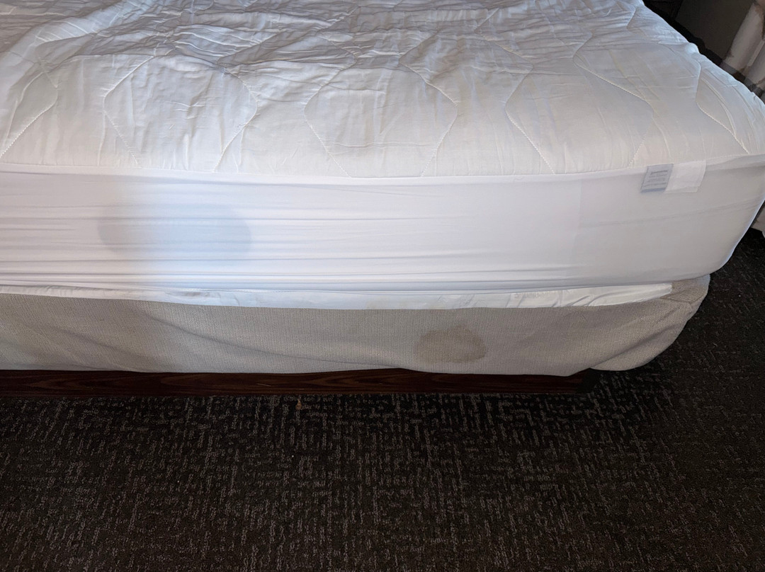 约克Homewood Suites by Hilton主图