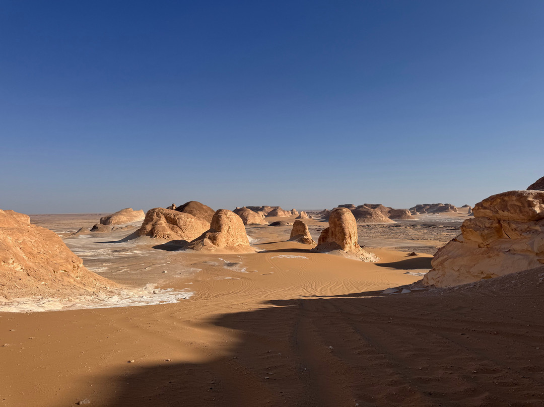 Bedouin Trails