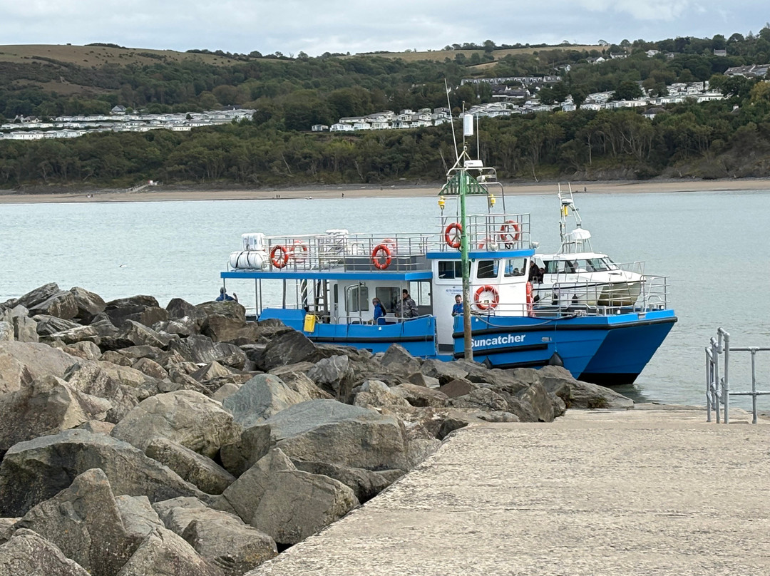 SeaMor Dolphin Watching Boat Trip-纽基必去景点