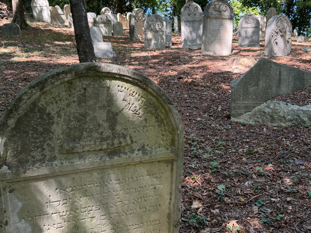 Antico Cimitero Ebraico di Conegliano-科内利亚诺必去景点