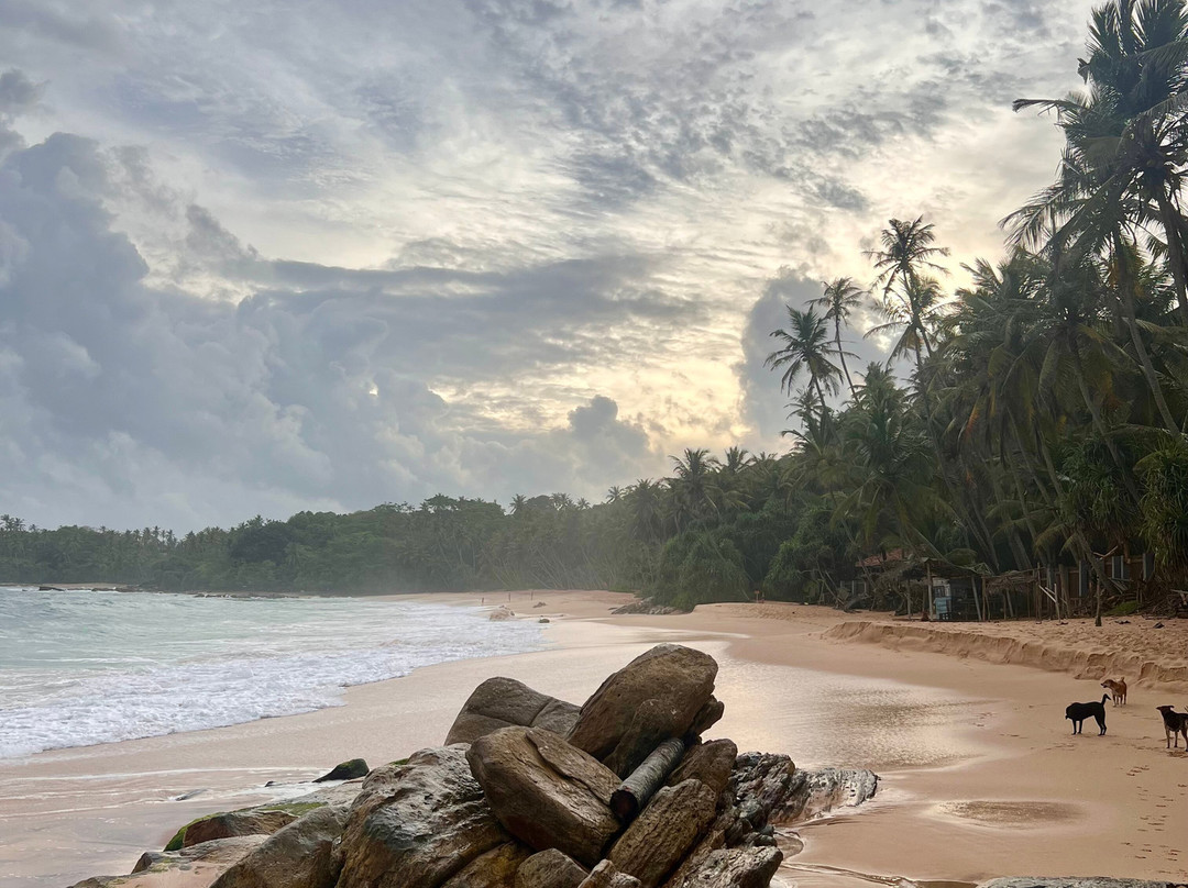 Amusing Lanka Tours-科斯戈德必去景点