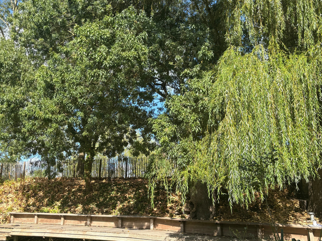 Embarcadère de l'Abbaye-Maillezais必去景点