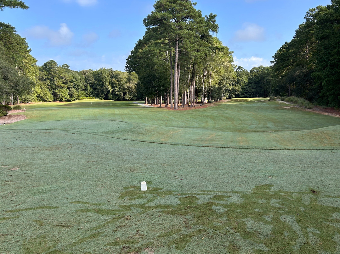 Blackmoor Golf Club-默勒尔斯因莱特必去景点
