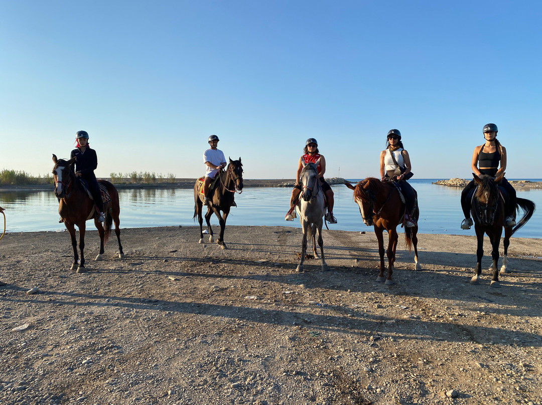 Belek Safari | Horse Riding Tour