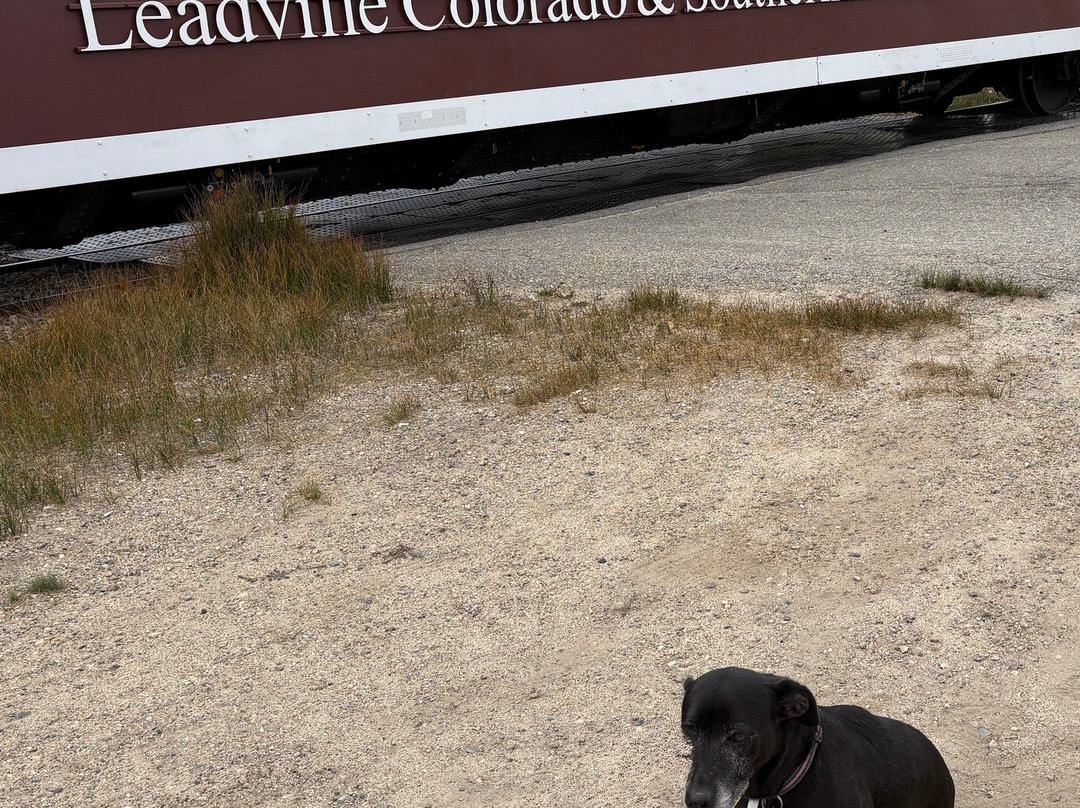 Leadville, Colorado & Southern Railroad-Leadville必去景点