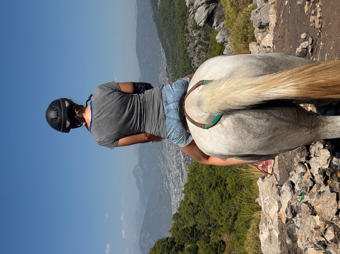 Trojan Horse Riding-费特希耶必去景点