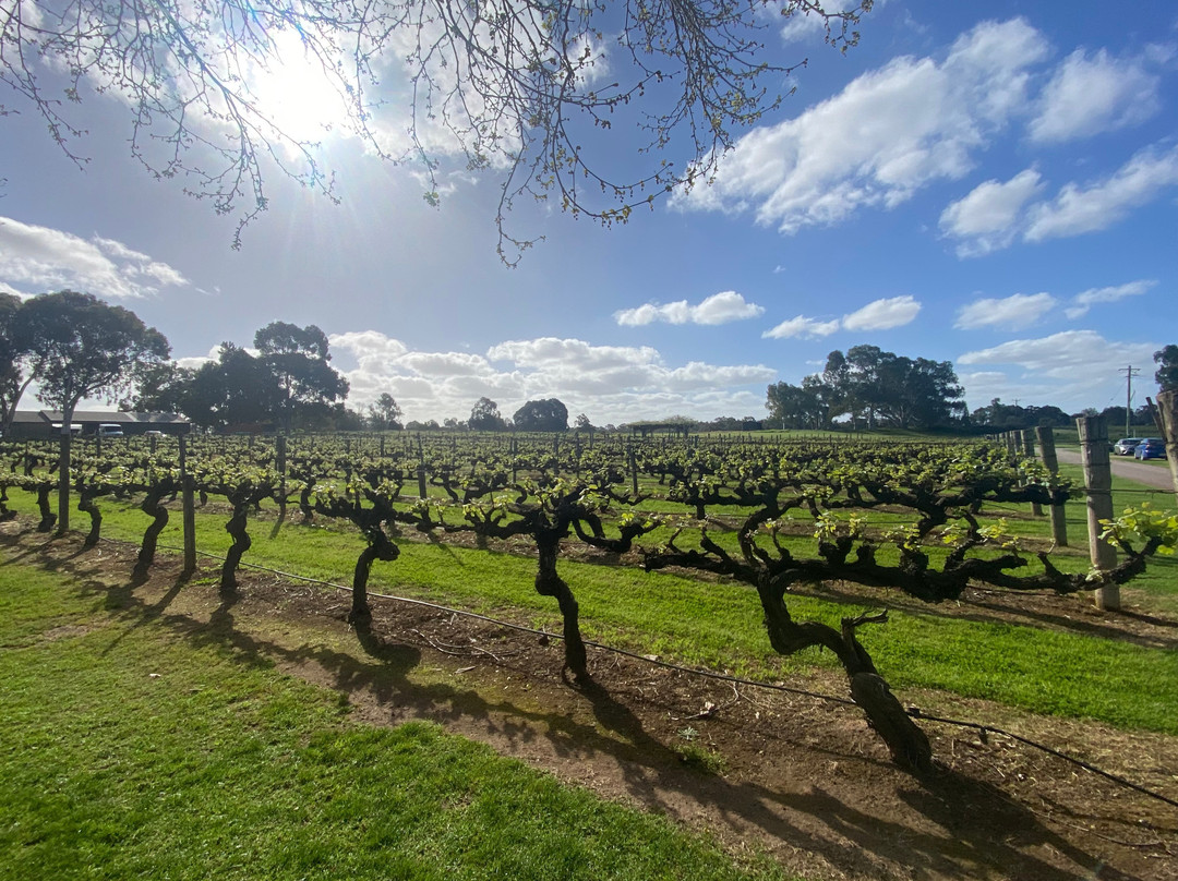 Sandalford Wines Swan Valley-Swan Valley必去景点
