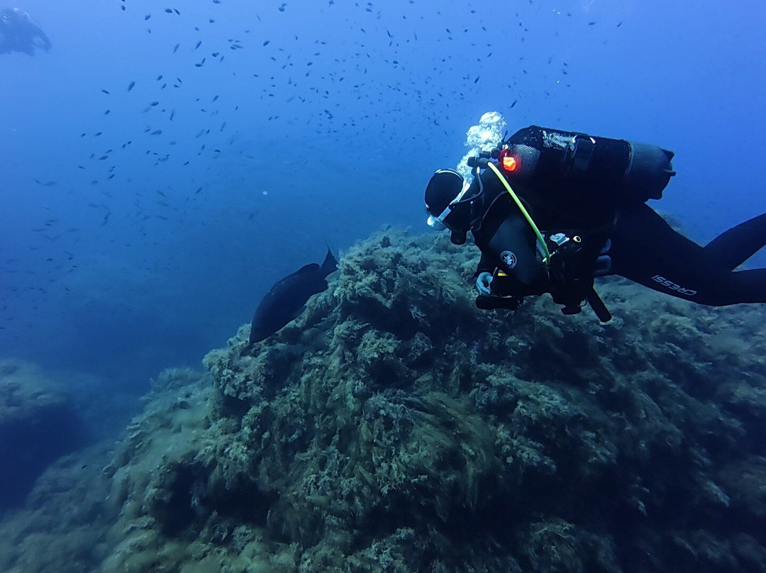 Orca Diving Ustica-Ustica必去景点
