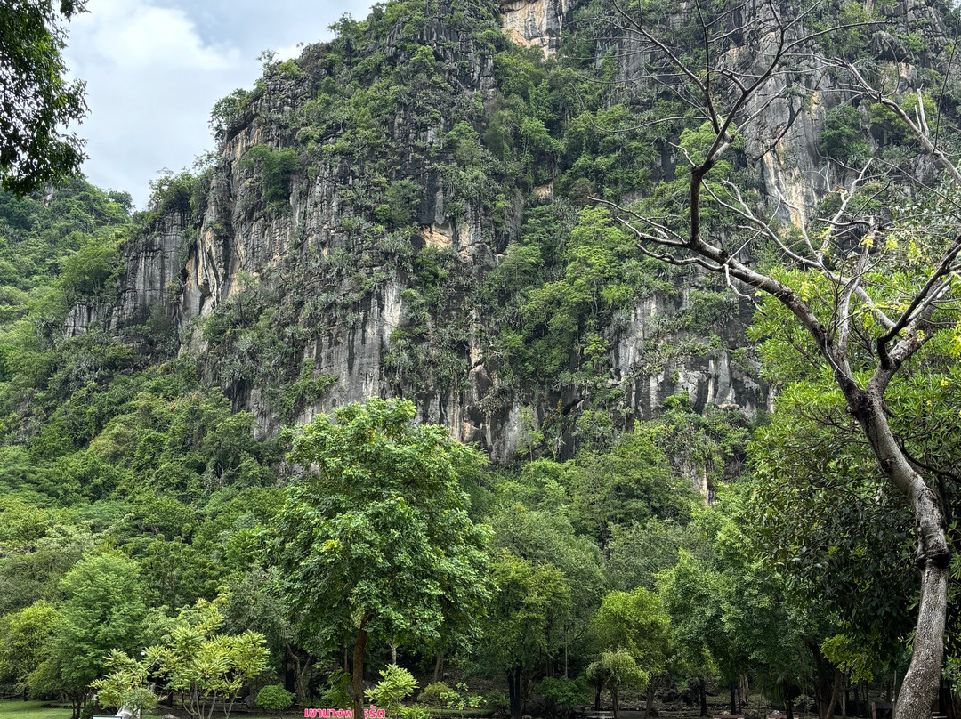 Khao Nang Phanthurat Forest Park-七岩必去景点