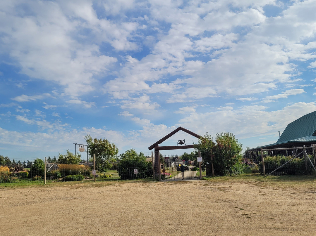 Grotto Gardens Family Fun Farm-Maple Creek必去景点
