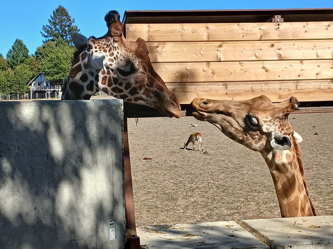 Parc Zoo du Reynou-Le Vigen必去景点