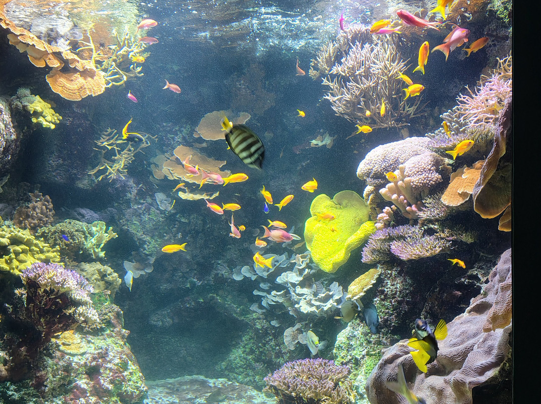 Aquarium La Rochelle-拉罗谢尔必去景点