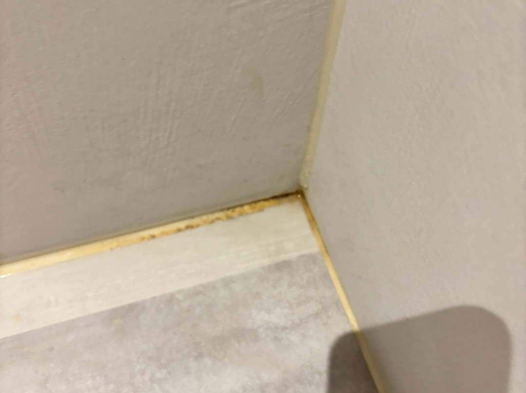 蒙斯范德瓦尔克会议酒店主图