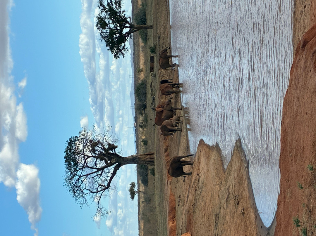 Muka Tours and Safaris-马林地必去景点