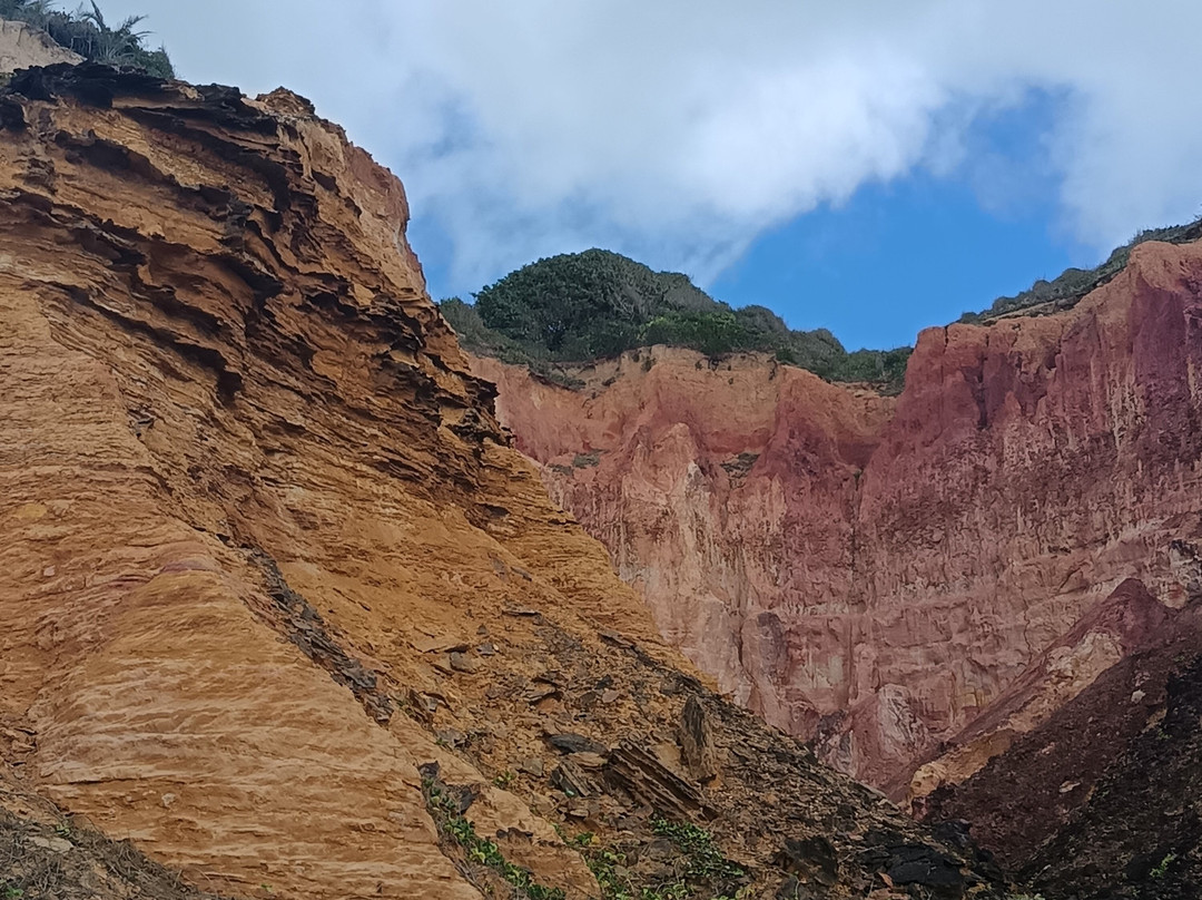 Aventura Eco Brasil-Barra de Sao Miguel必去景点