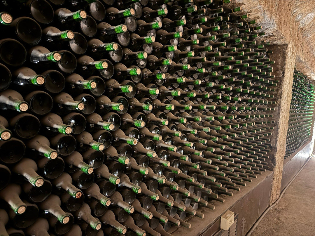 Bodegas Domecq-恩塞纳达必去景点