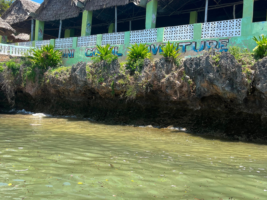 Wasini Trips-Wasini Island必去景点