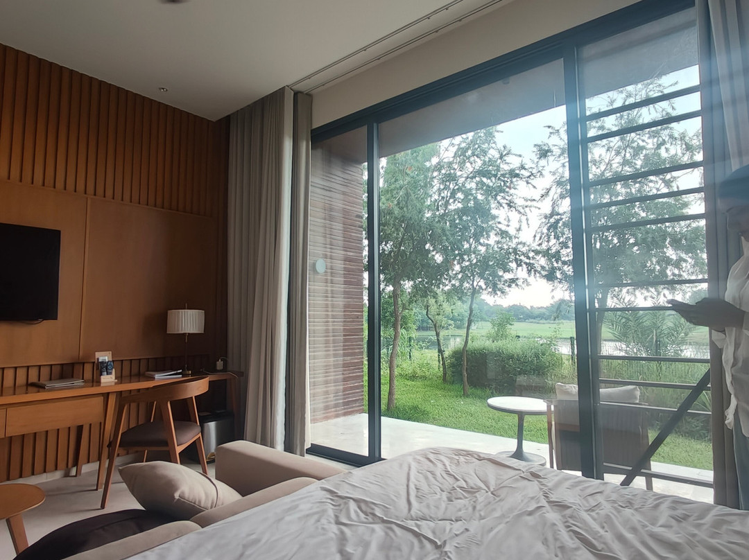 Mysa Zinc Journey by the Fern, Nani Devati主图