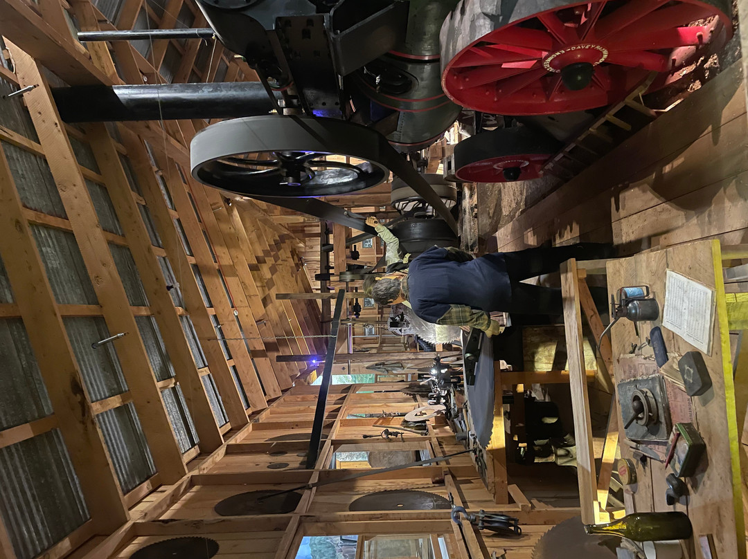 The Kauri Museum-Matakohe必去景点