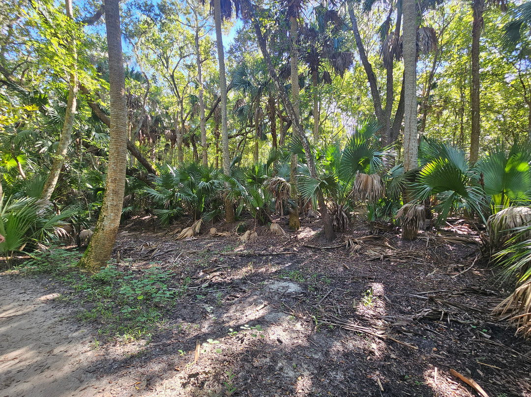 Black Bear Wilderness Area-桑福德必去景点