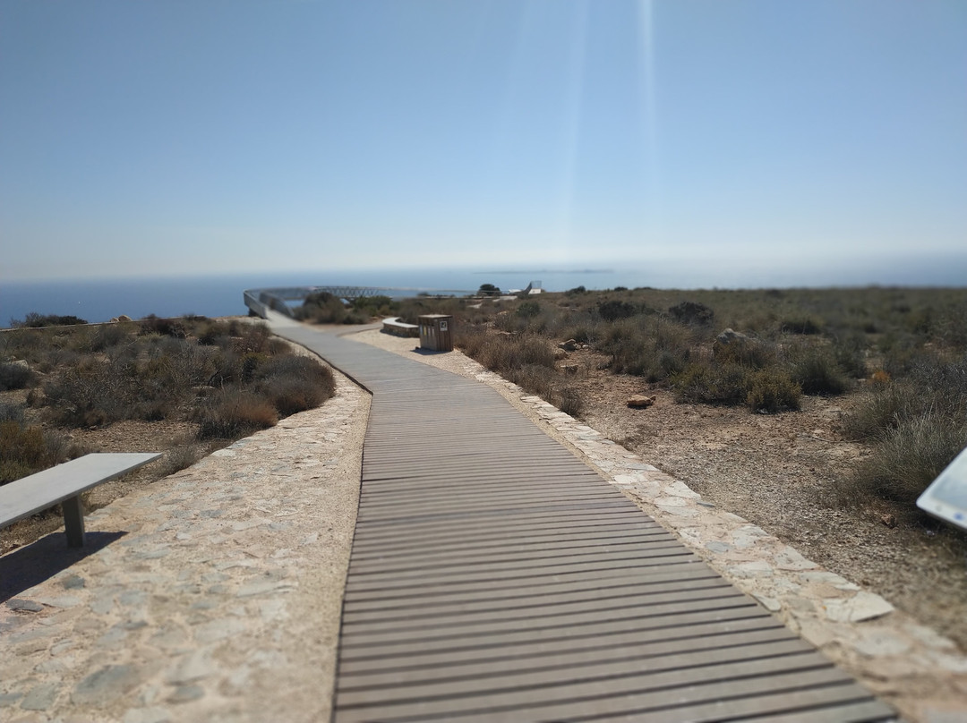 Mirador del Faro