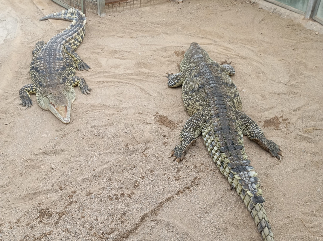 Izmir Wild Life Park-伊兹密尔必去景点