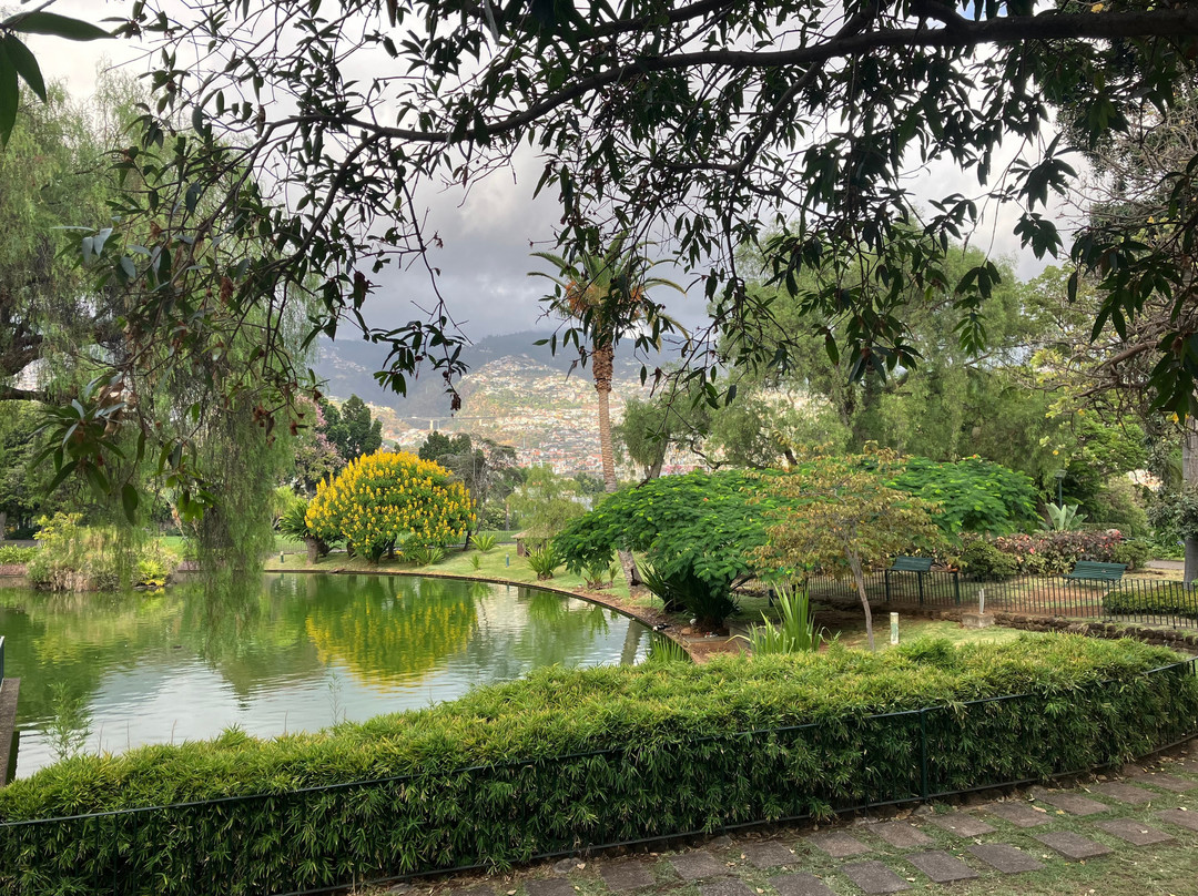 Parque de Santa Catarina-沙尔必去景点