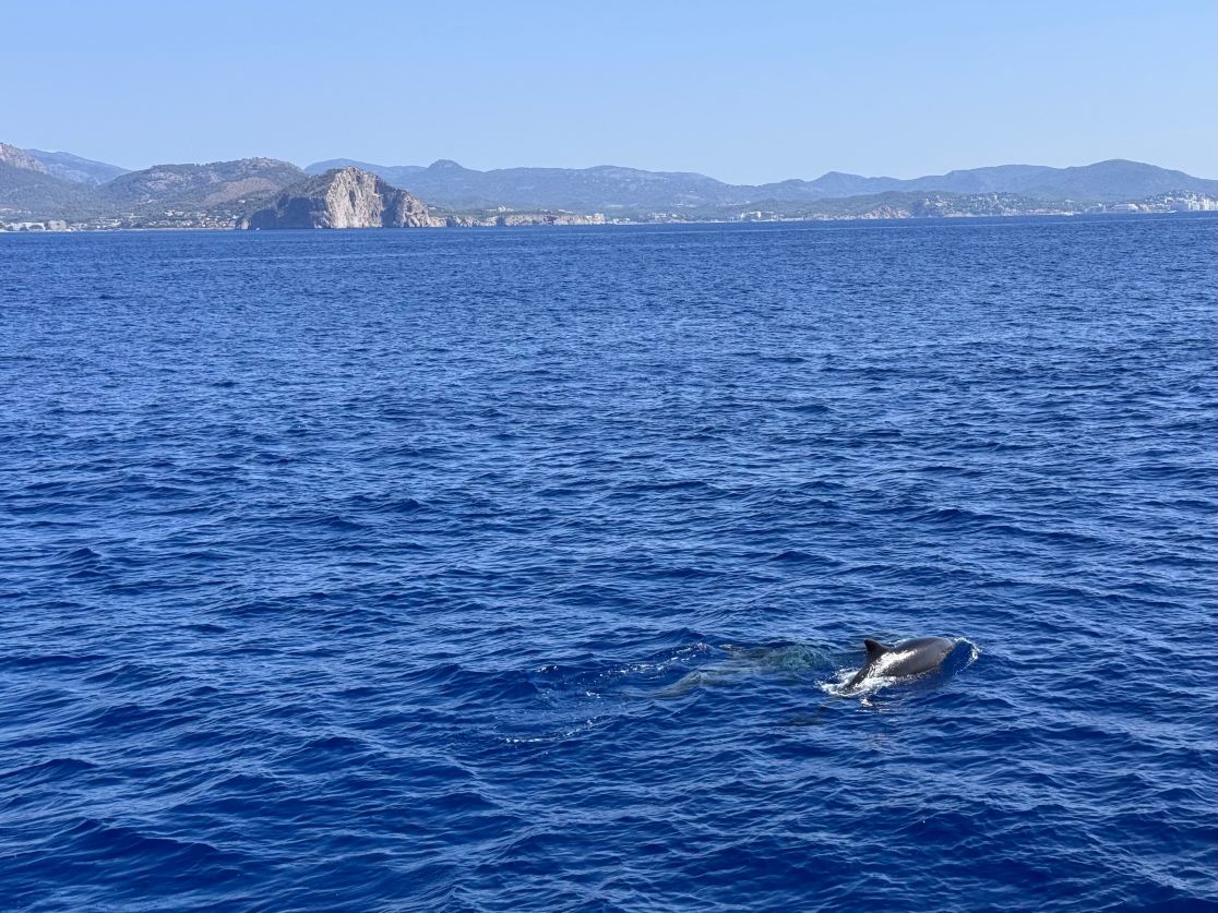 欧洲海滨码头住宿-旅行者