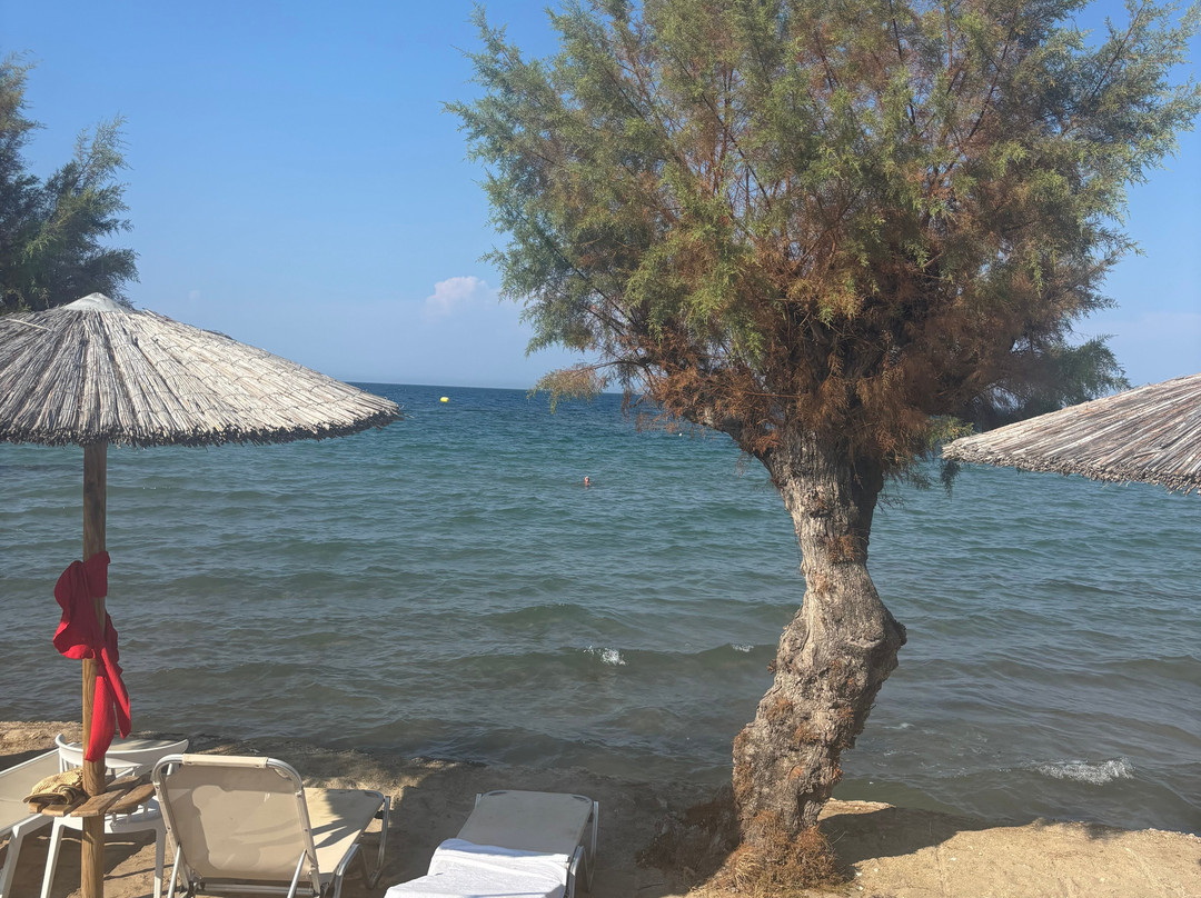 Mimoza Beach Bar-Argassi必去景点