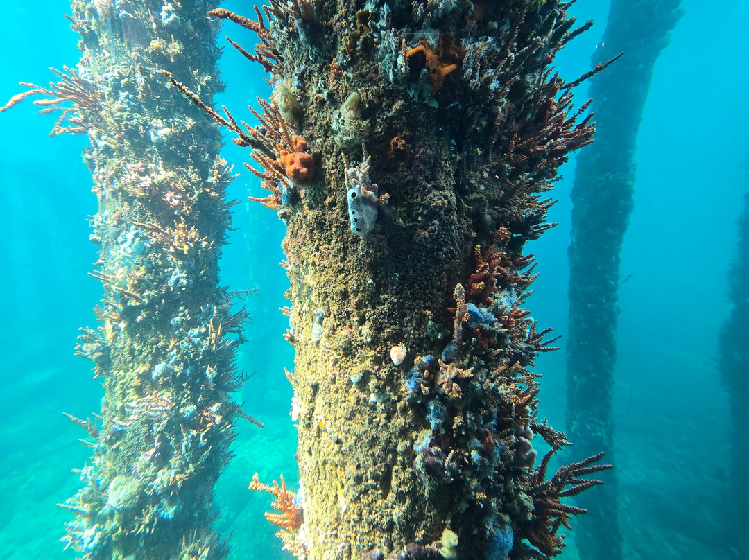 Busselton Jetty-巴瑟尔顿必去景点