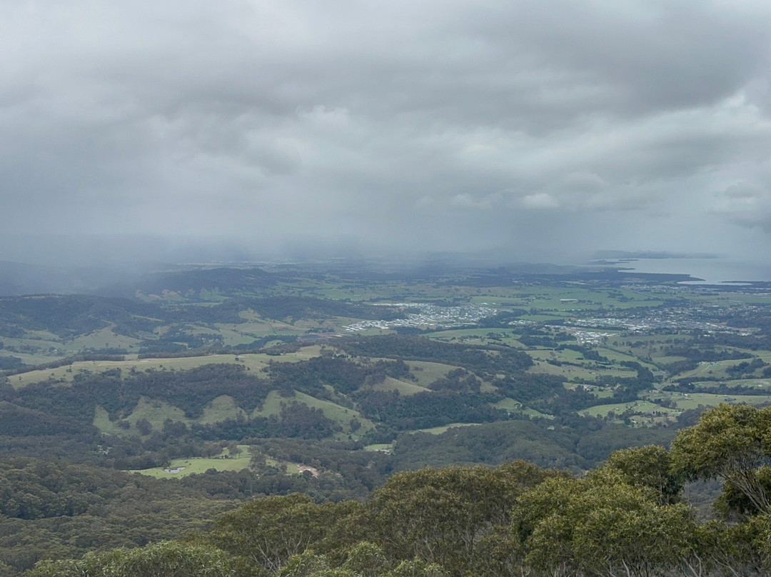 Illawarra Fly Treetop Walk-Knights Hill必去景点