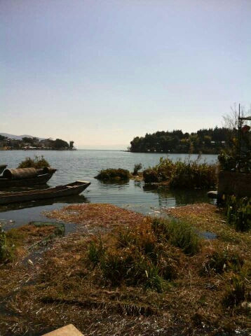 西湖生态风景区景点图片