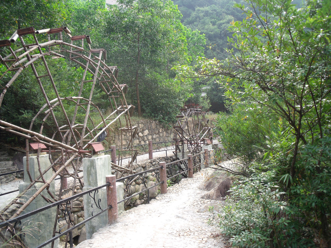 三寨谷森林公园景点图片