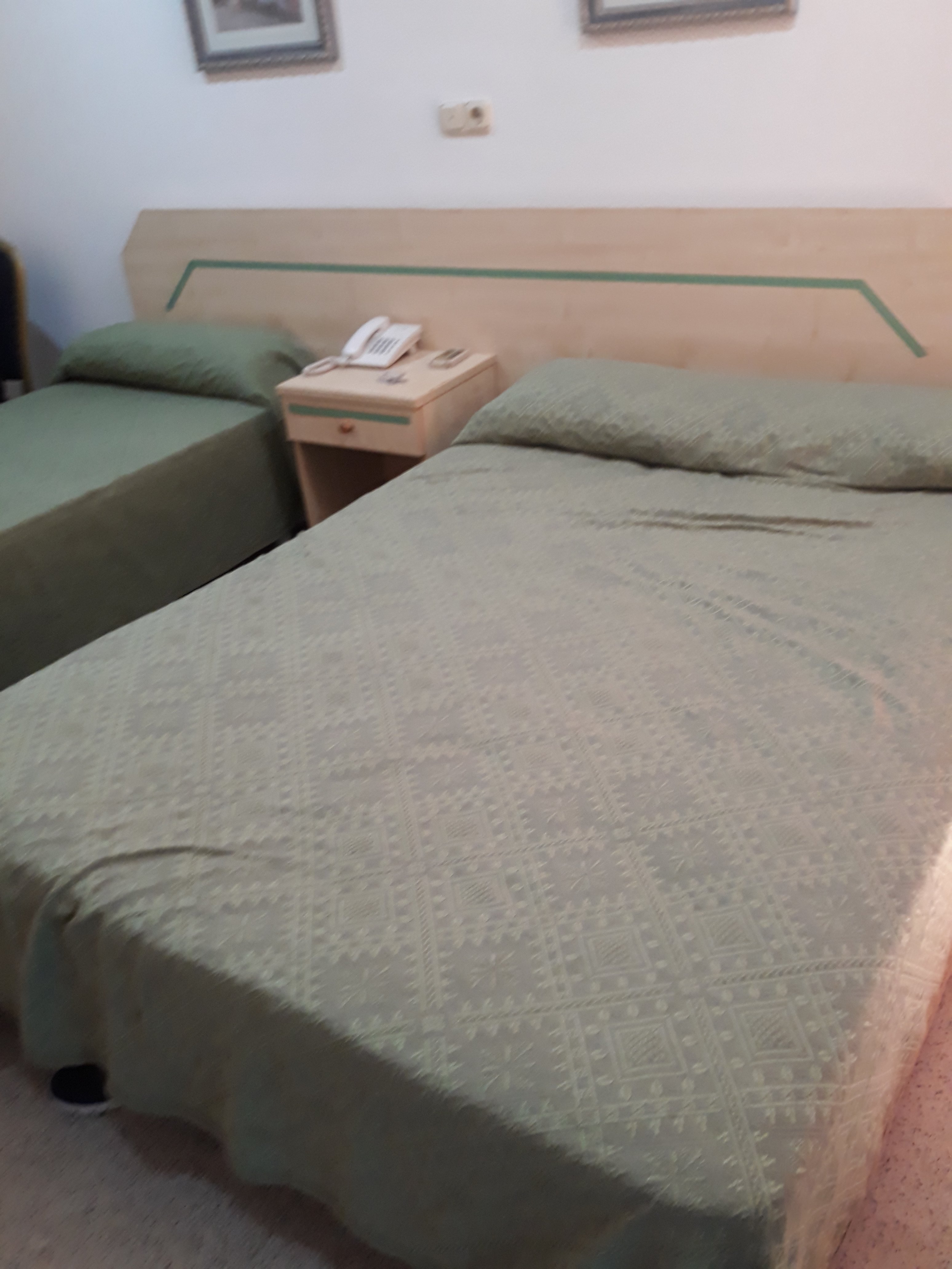 Hostal Blumen Plas-官方