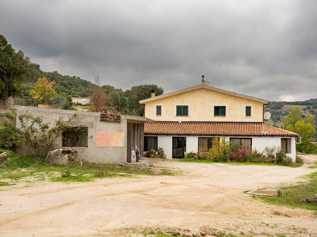 Teti酒店住宿-Agriturismo Buzzarzu