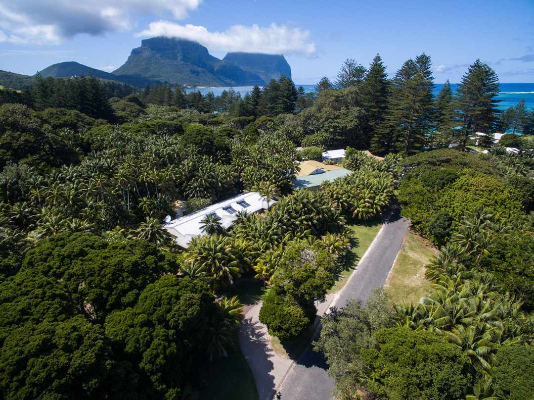 豪勋爵群岛酒店住宿-Blue Lagoon Lodge