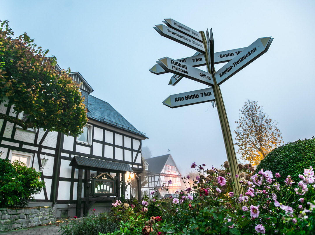 Finnentrop酒店住宿-Romantikhotel Platte