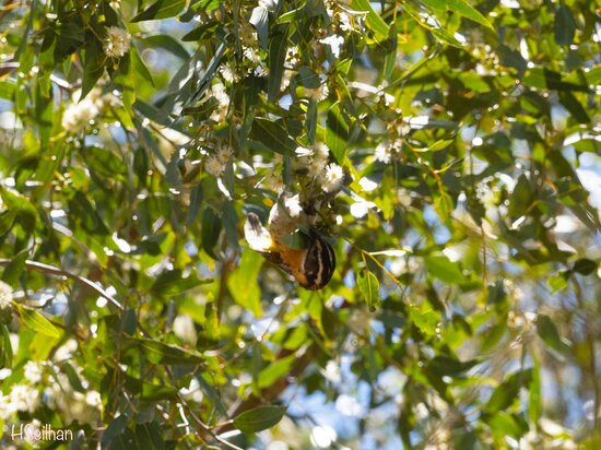 Covington Park-Morongo Valley必去景点