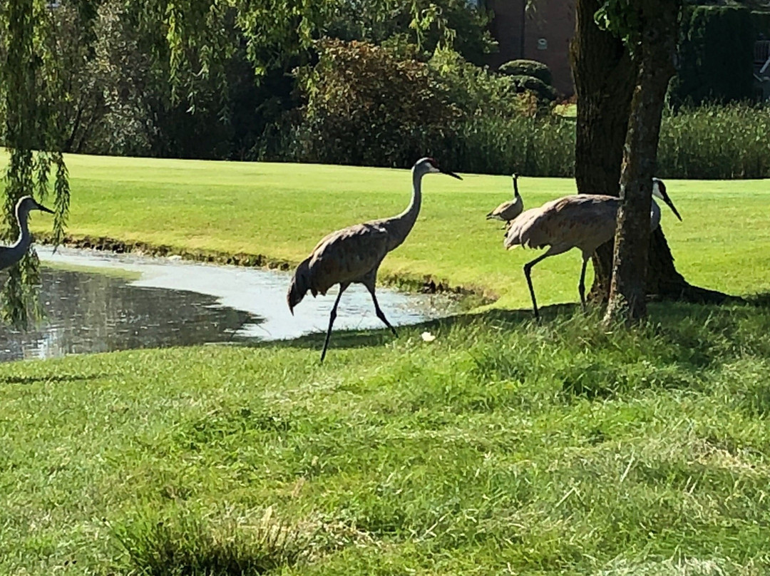 Tanglewood Golf Club